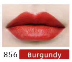 Veline Organic Pigment – 3ml Nano Liquid Ink for Microblading & Permanent Makeup PMU