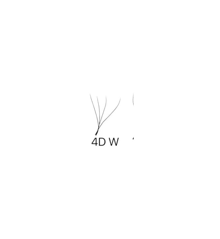 4D W Lash Extensions BY  | Premium Handmade Volume Fans | 0.07mm CC Curl Mixed Tray (8-15mm) – Professional Lash Supplies