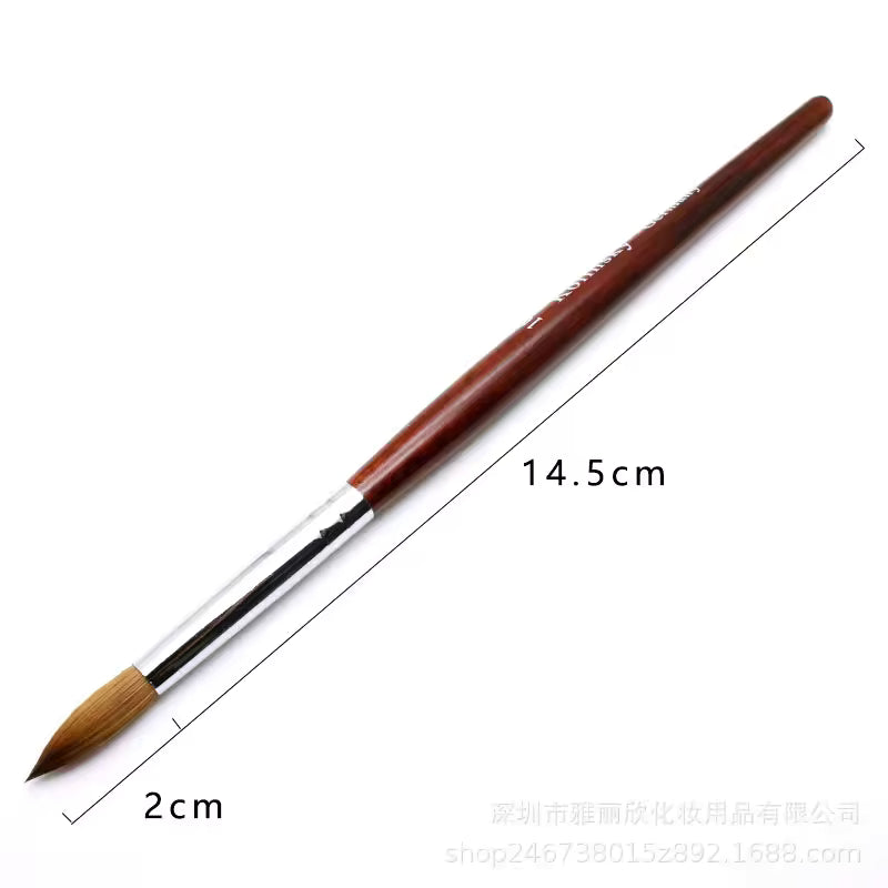 80% Kolinsky Acrylic Nail Art Brush #10 – Germany Kolinsky Blend, Round Point Brush for Acrylic & Gel