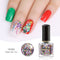 Born Pretty UV Nail Gel Stamping Holo Holiday Series Color #BP-HH04 Meet With You