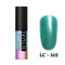 Lilycute UV Gel Color 5ml - #165